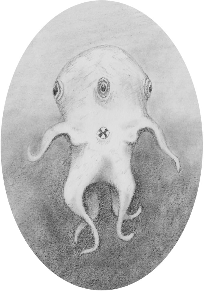 a floating Krakur