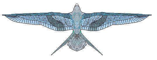 Trenic Dovehawk with wings extended