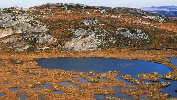 Highlands covered in Fiach Lichen